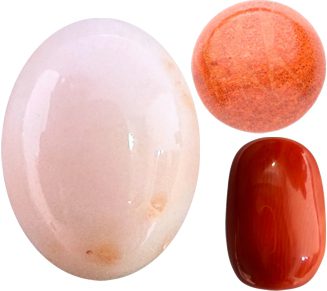 Coral Gemstones – Properties, Origins, Treatments and Buying Guide Coral Gemstones – Properties, Origins, Treatments and Buying Guide