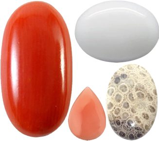 Coral Gemstones – Properties, Origins, Treatments and Buying Guide Coral Gemstones – Properties, Origins, Treatments and Buying Guide