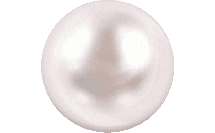 Buyers_Guide_Pearl_1 Pearl Buyer's Guide White Pearl