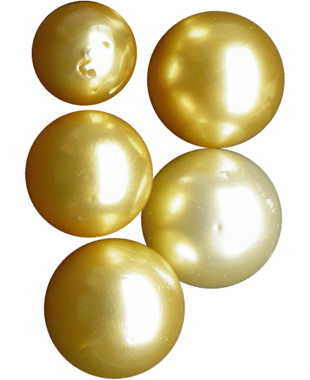Buyers_Guide_Pearl_4