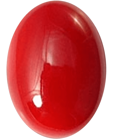 Coral Buyer’s Guide – Properties, Treatments & Value Coral Buyers Guide 4 - red coulour - oval shape - italian