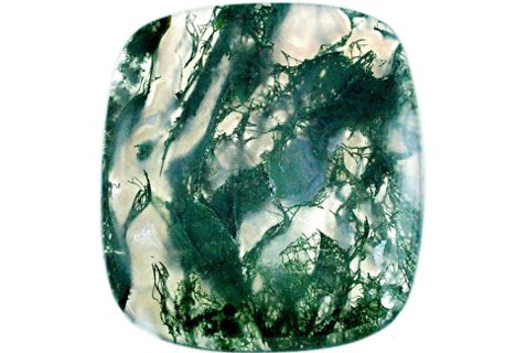 Moss Agate Buyers Guide 2 - cabochon - cushion shape - brazil Moss Agate Buyer’s Guide – Properties, Treatments & Value Moss Agate Buyers Guide 2 - cabochon - cushion shape - brazil