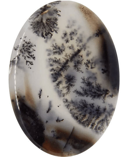 Dendritic Agate Buyer’s Guide – Properties, Treatments & Value Dendritic Agate Buyers Guide 4 - oval shape - india - cabochon