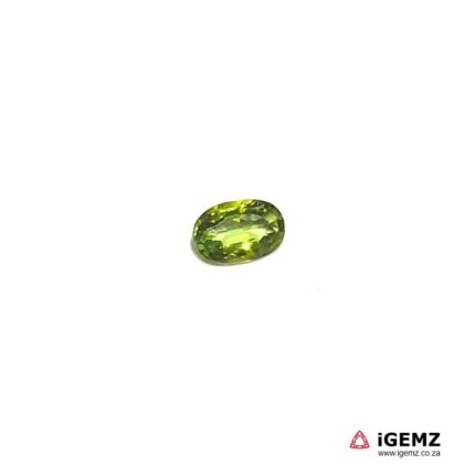 0.63 ct Green Tourmaline - iGemz20399B