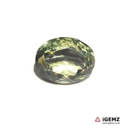 14.64 ct Green Prasiolite - iGemz21177