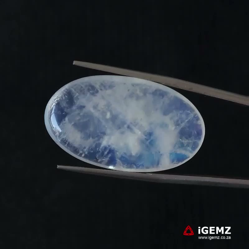 iGemz21188.1 35.92 ct Blue Moonstone - iGemz21188