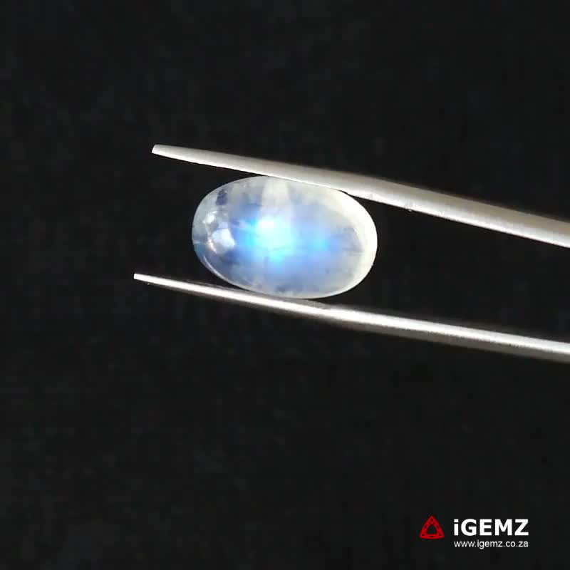 iGemz21204.1 9.12 ct Blue Moonstone - iGemz21204