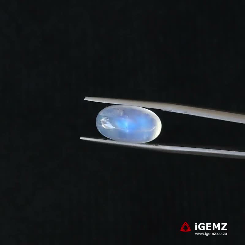 iGemz21220.1 8.09 ct Blue Moonstone - iGemz21220
