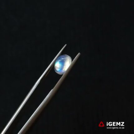 1.46 ct Blue Moonstone - iGemz21233
