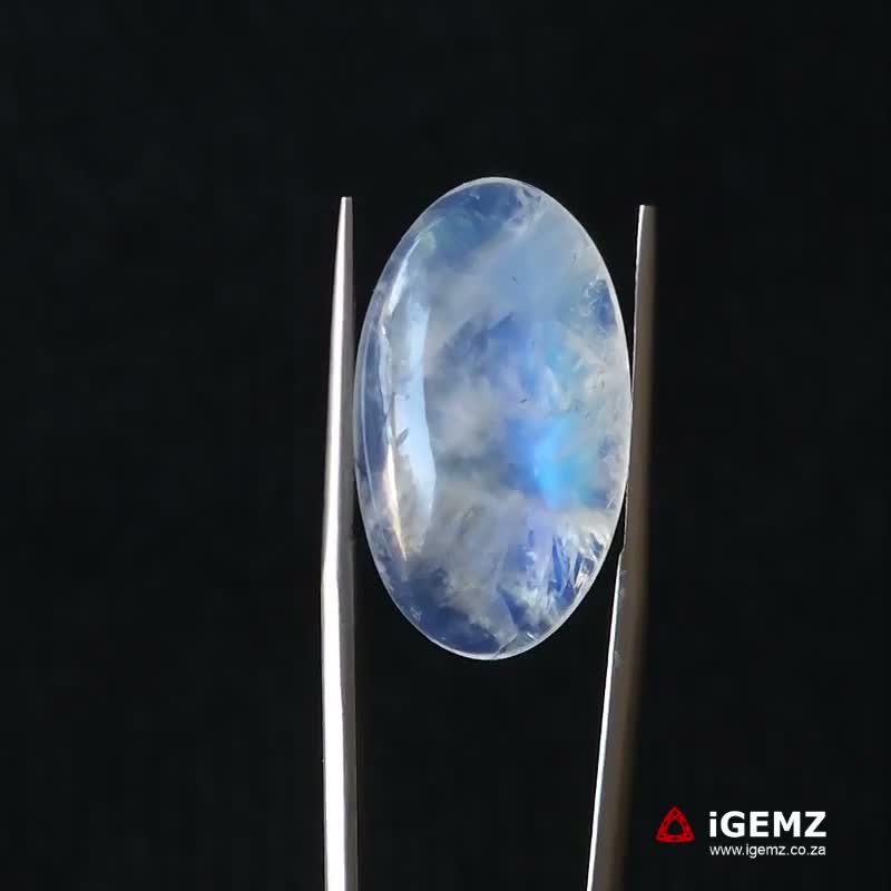 iGemz21241.1 15.66 ct Blue Moonstone - iGemz21241