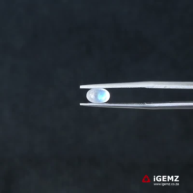 iGemz21254.1 0.76 ct Blue Moonstone - iGemz21254