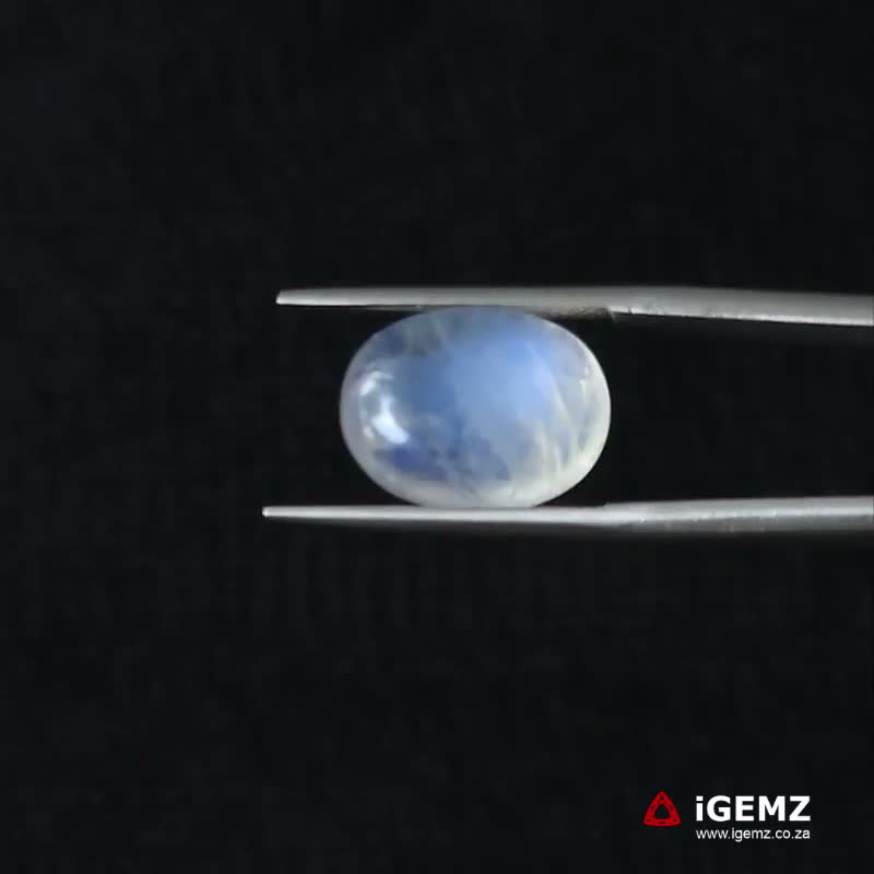 iGemz21259.1 7.74 ct Blue Moonstone - iGemz21259