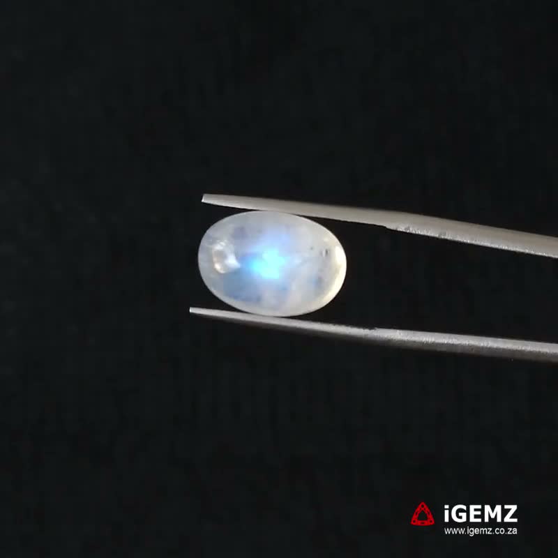 iGemz21260.1 8.78 ct Blue Moonstone - iGemz21260