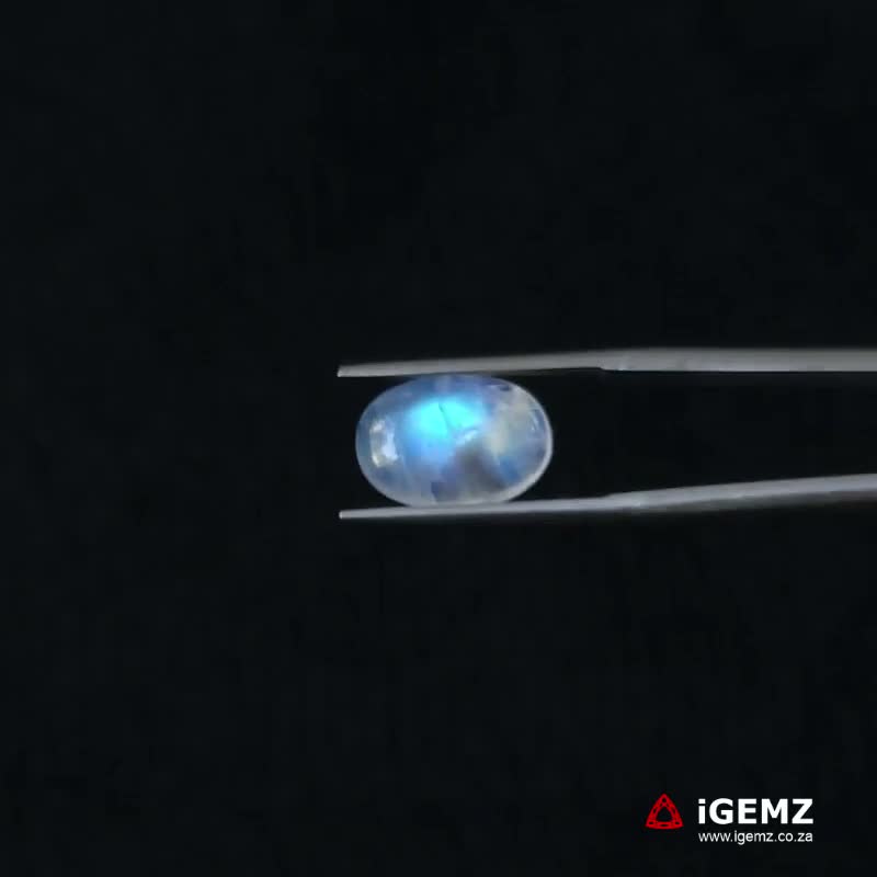 iGemz21288.1 4.47 ct Blue Moonstone - iGemz21288