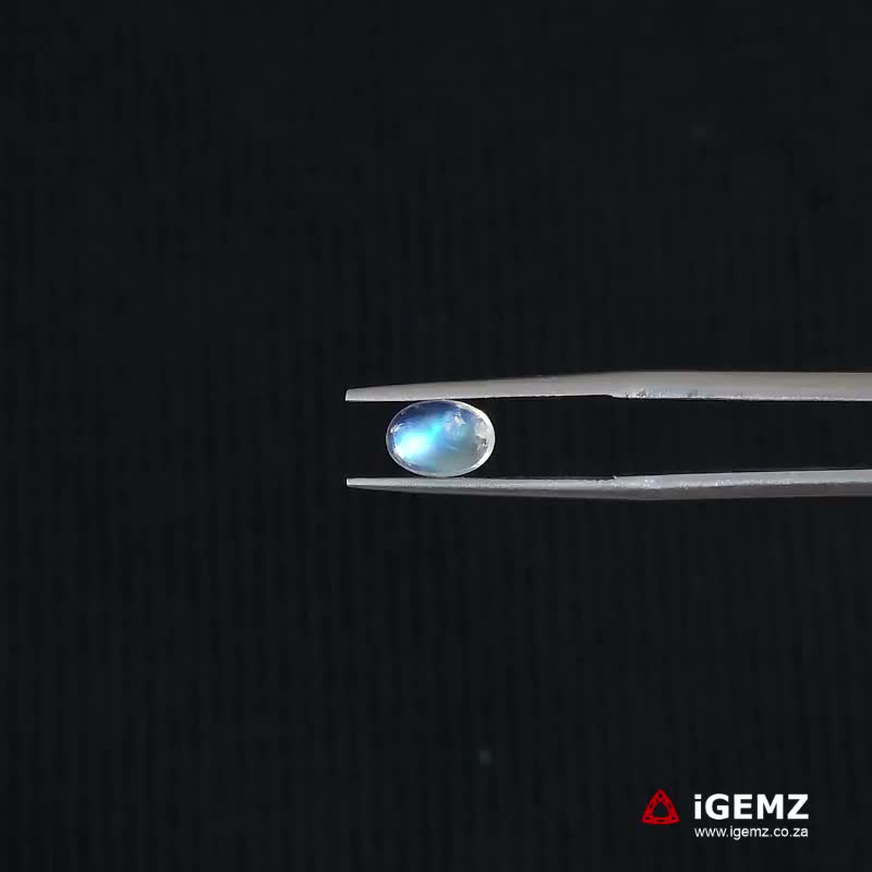 iGemz21306.1 0.81 ct Blue Moonstone - iGemz21306