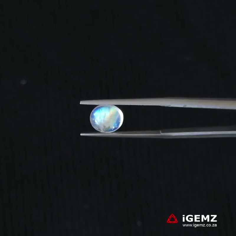 iGemz21343.1 1.66 ct Blue Moonstone - iGemz21343