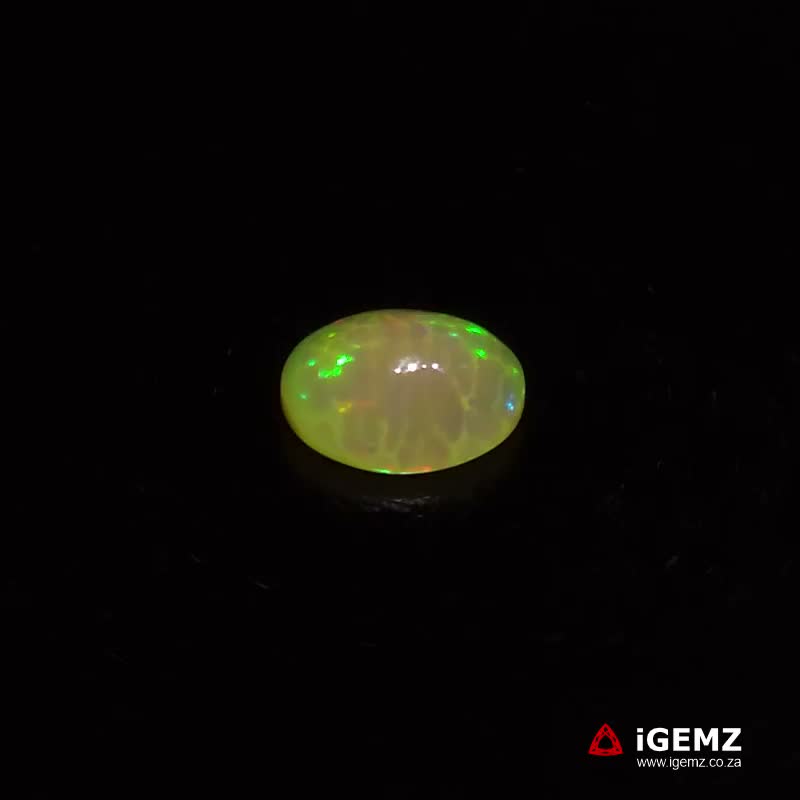 iGemz21568.1 2.36 ct Welo Opal - iGemz21568