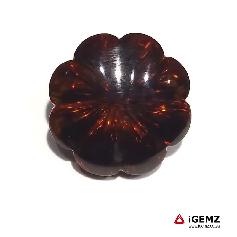 iGemz22612.1 38.76 ct Brown Smoky Quartz - iGemz22612