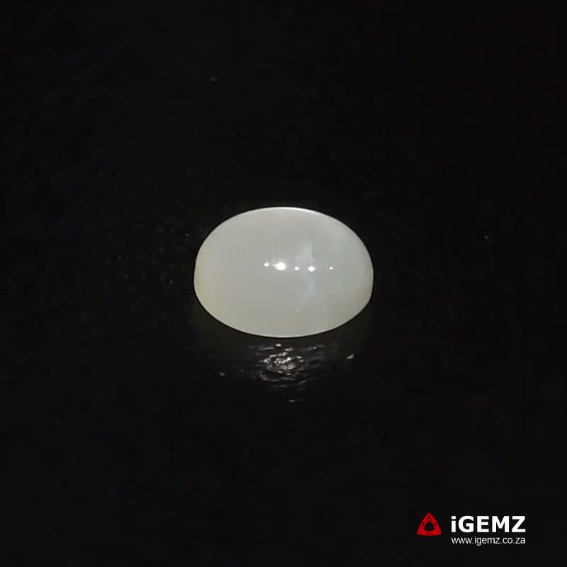iGemz22798.1 1.58 ct Cat's Eye Moonstone - iGemz22798