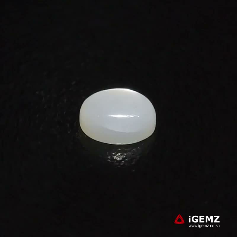 iGemz22799.1 1.71 ct Cat's Eye Moonstone - iGemz22799
