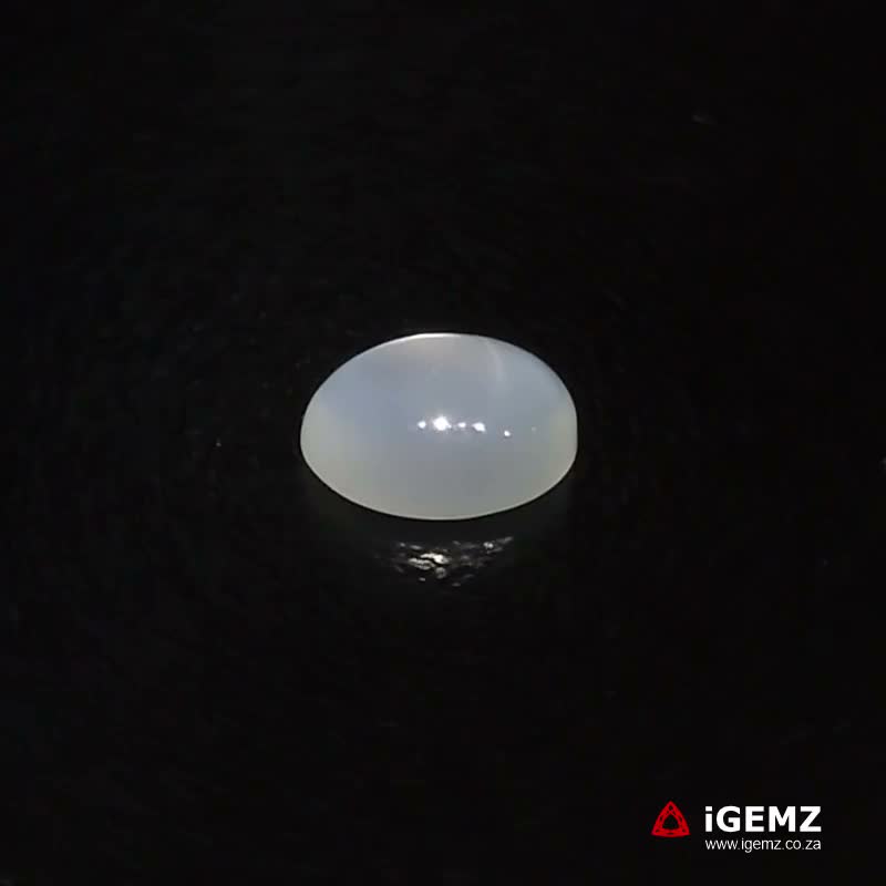 iGemz22801.1 1.27 ct Cat's Eye Moonstone - iGemz22801
