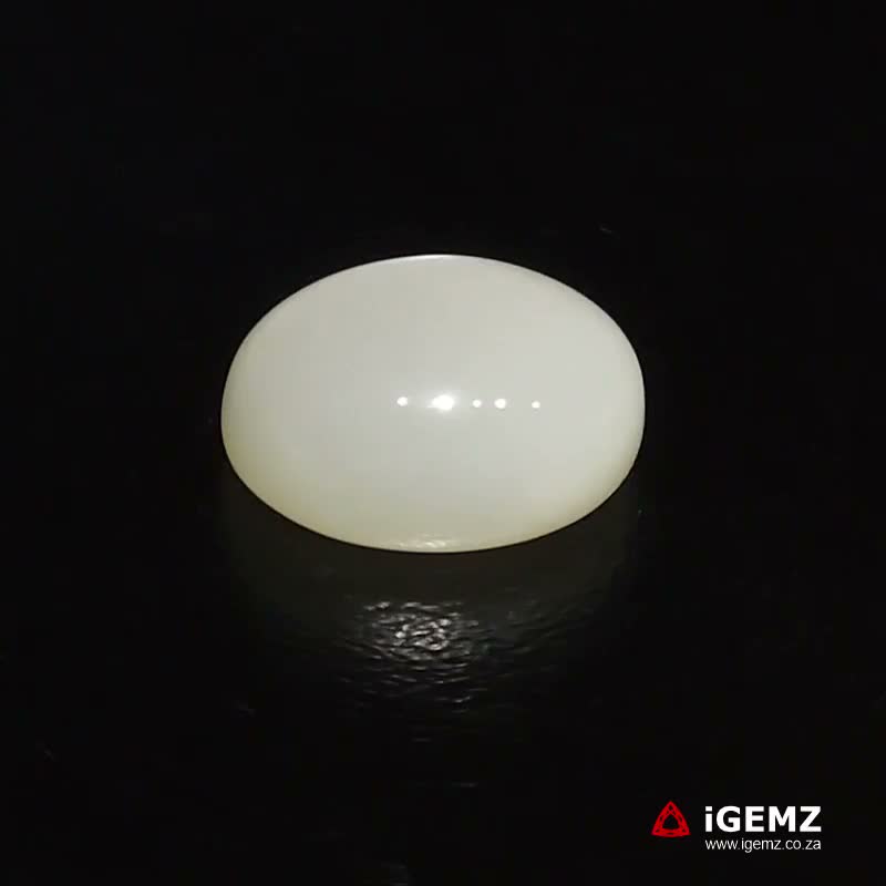 iGemz22841.1 13.16 ct Cat's Eye Moonstone - iGemz22841