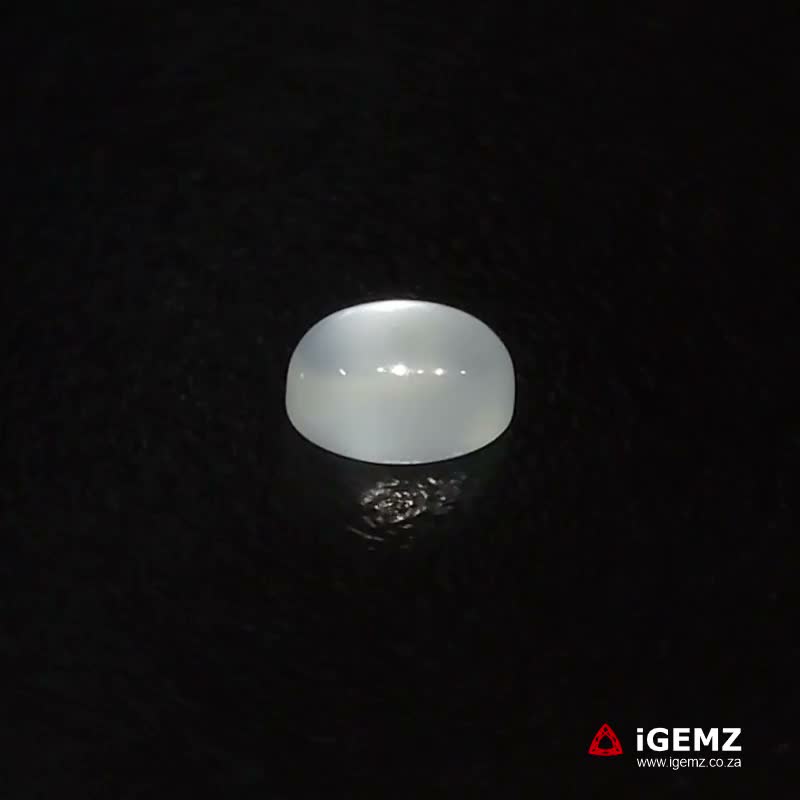 iGemz22848.1 1.19 ct Cat's Eye Moonstone - iGemz22848