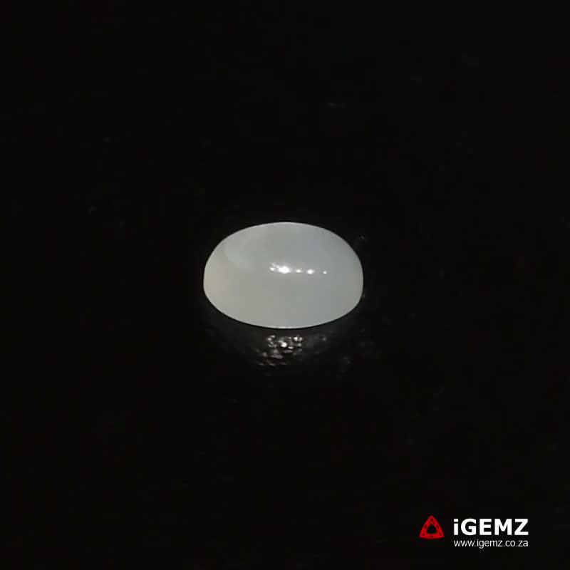 iGemz22852.1 0.9 ct Cat's Eye Moonstone - iGemz22852