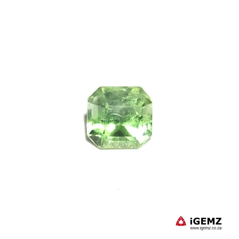 iGemz22864.1 1.81 ct Bi-Colour Tourmaline - iGemz22864