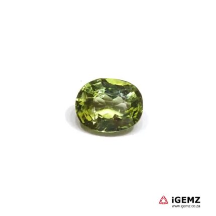 1.43 ct Green Tourmaline - iGemz22908