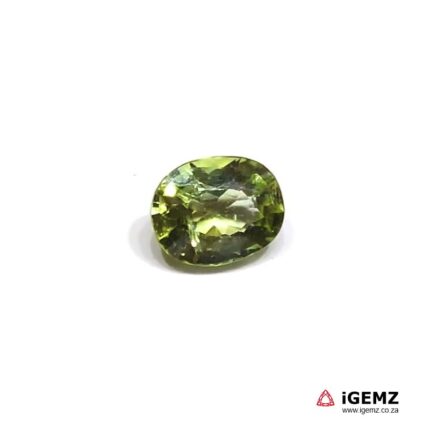 1.43 ct Green Tourmaline - iGemz22908