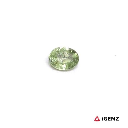 0.24 ct Green Sapphire - iGemz23406