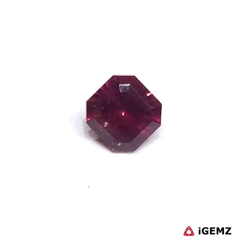 iGemz24879.1 iGemz24879.1