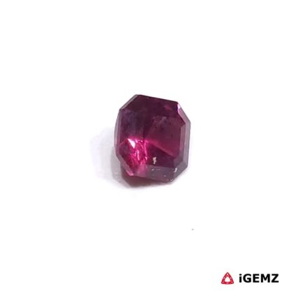iGemz24879.2