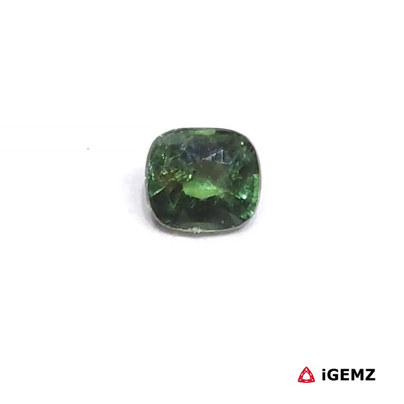 iGemz24880.1 0.85 ct Green Tourmaline - iGemz24880