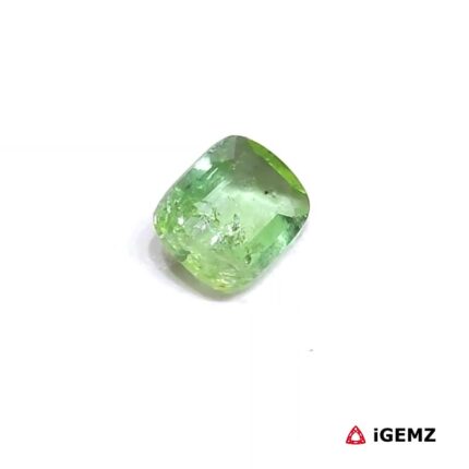 0.91 ct Green Tourmaline - iGemz24883
