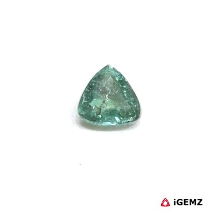 0.85 ct Green Tourmaline - iGemz25055