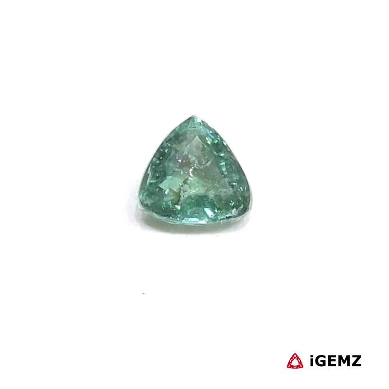 iGemz25055.1 0.85 ct Green Tourmaline - iGemz25055