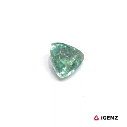 0.85 ct Green Tourmaline - iGemz25055