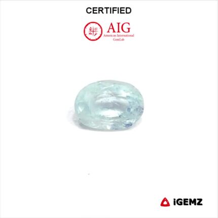 0.89 ct Paraiba Tourmaline - CERTIFIED - iGemz25057