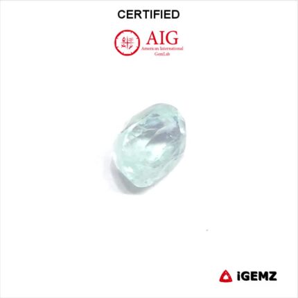 0.89 ct Paraiba Tourmaline - CERTIFIED - iGemz25057