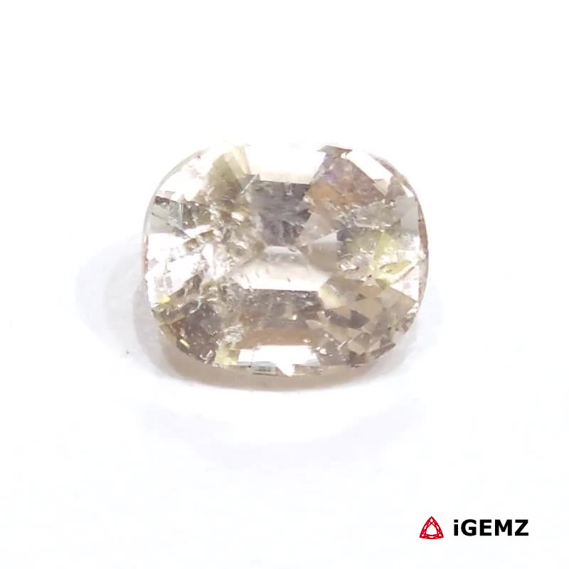 iGemz25059.1 iGemz25059.1