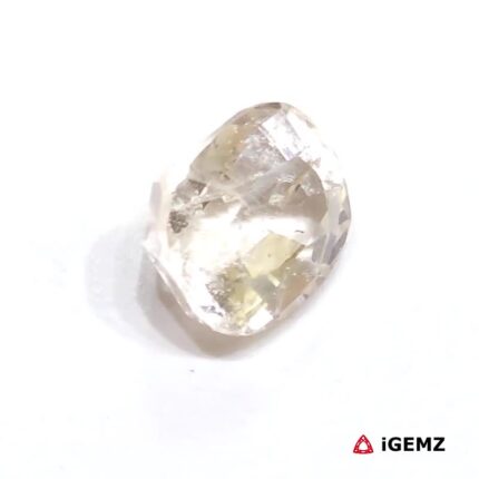 iGemz25059.2
