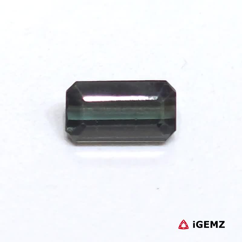 iGemz25066.1 iGemz25066.1