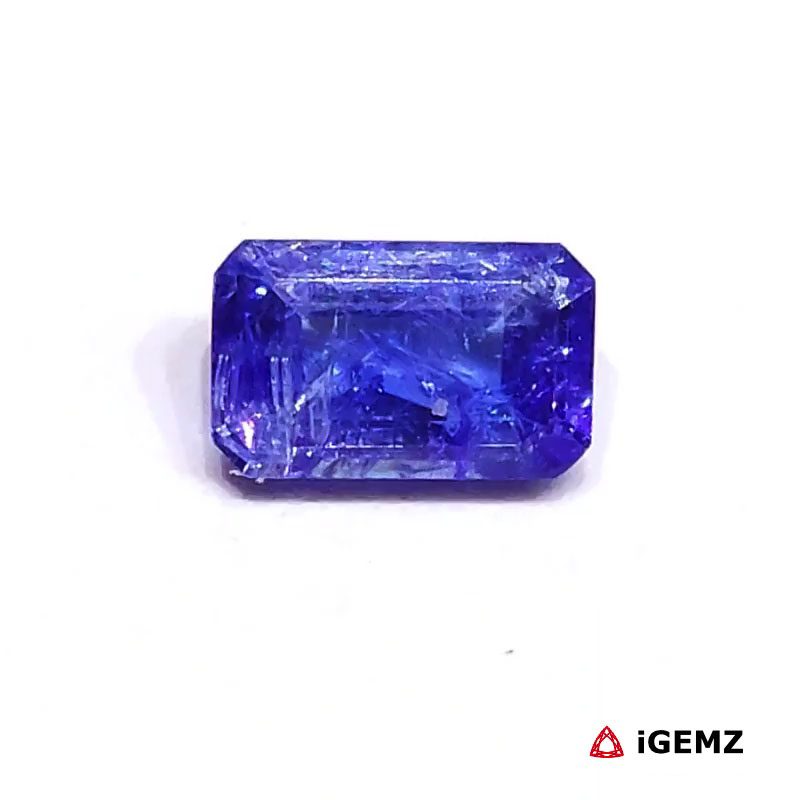 iGemz25089.1 iGemz25089.1