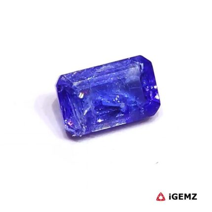 iGemz25089.2