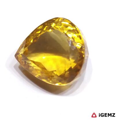 iGemz25101.1