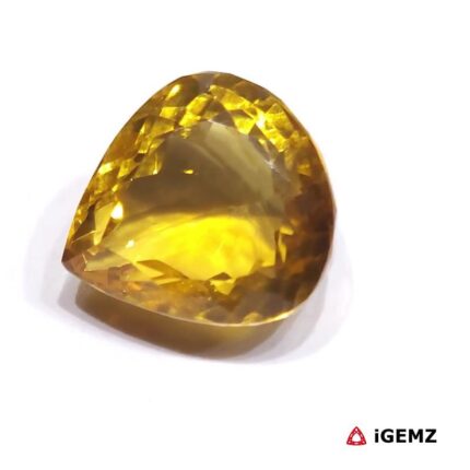 iGemz25101.2