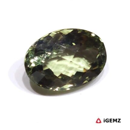 15.9 ct Green Prasiolite - iGemz25121