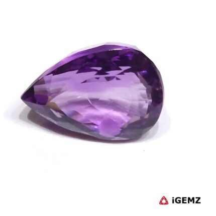 iGemz25128.1